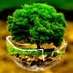 Natural Health (@nhnaturalhealth) Twitter profile photo Natural Health (@nhnaturalhealth) Twitter profile photo