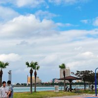 M (@syufu_crypto) 's Twitter Profile