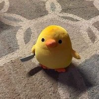 داليـا🌻 (@aboeldaladelzzz) Twitter profile photo