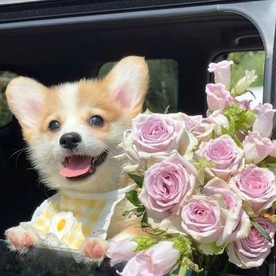 jen556342151925's profile picture. My friends call me Jen❤️❤️❤️❤️❤️