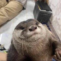 쓔쮺 (수죽이었던것) (@suujuk) 's Twitter Profile
