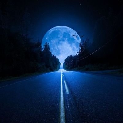 St_Bernard13's profile picture. 