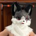 simon (@simon2692430522) Twitter profile photo simon (@simon2692430522) Twitter profile photo