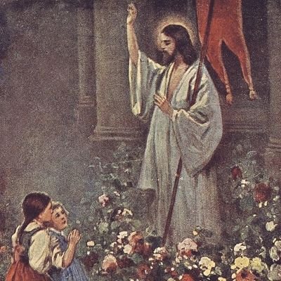 Sheredriel's profile picture. Ave Maria, 
Gratia plena 🕊️
ora pro nobis ♱