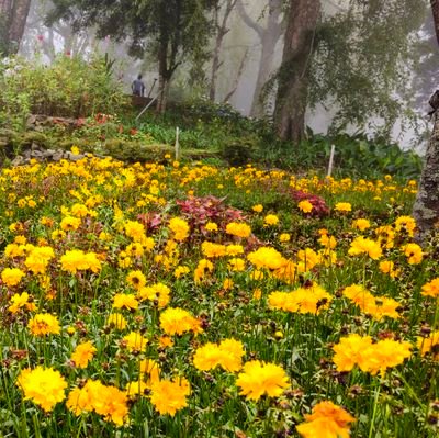 karthickeagan's profile picture. 