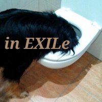 🧡Exil deNousSommesTous Israël🗽♂🚻🕊(told/you/so) (@facet40457435) 's Twitter Profile Photo 🧡Exil deNousSommesTous Israël🗽♂🚻🕊(told/you/so) (@facet40457435) 's Twitter Profile Photo