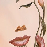 Şenay (@froehlichermond) Twitter profile photo
