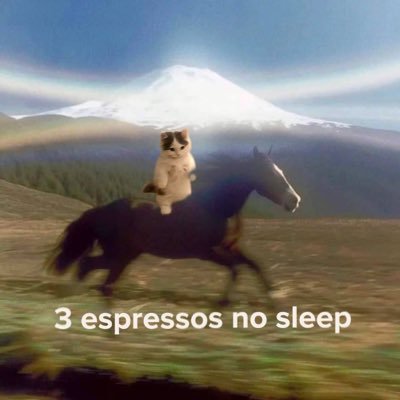 HODL_YourHorses's profile picture. CAFFIENE FUELED DEGENERACY
