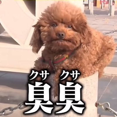 🈁さんのプロフィール画像