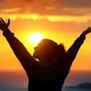 DiogeneIsh44320's profile picture. 