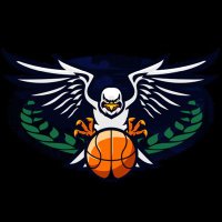 Ball Hawks 🇨🇵 (@ballhawks0) 's Twitter Profile