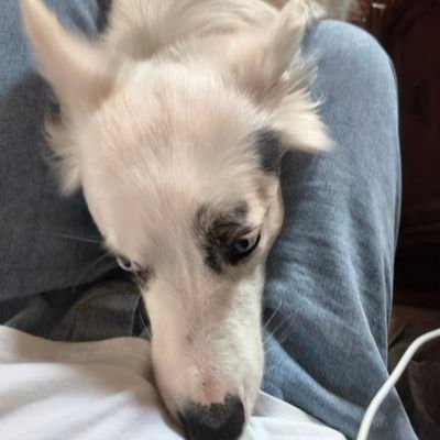 fengyinbb's profile picture. 