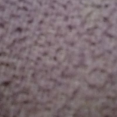 veer15741's profile picture. 