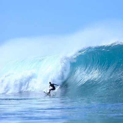 GobsCelestial's profile picture. 