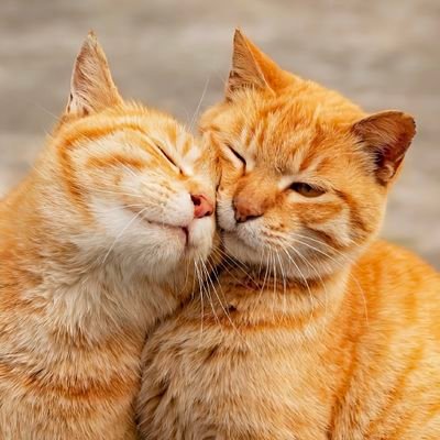 zhong_da95899's profile picture. 