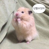 SKhammy✊ (@joomuck69jaegi) 's Twitter Profile Photo SKhammy✊ (@joomuck69jaegi) 's Twitter Profile Photo