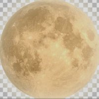 なっぽん™ (@napponi7) 's Twitter Profile