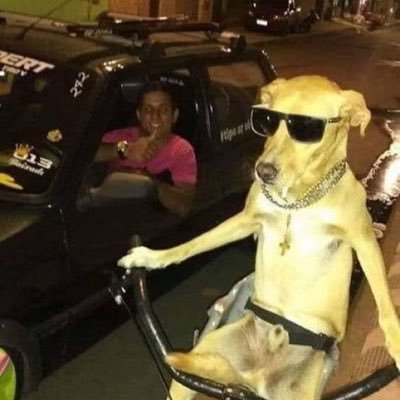 Killi_an's profile picture. mangeur de scooby snacks