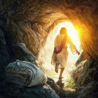 jillashleyhoff's profile picture. 