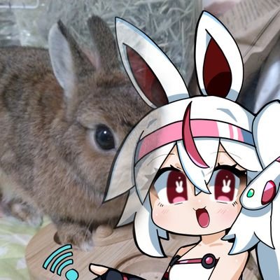 ウサギン＋白目がちのチロメちゃん🐰うさぎが運営してるVtuberさんのプロフィール画像
