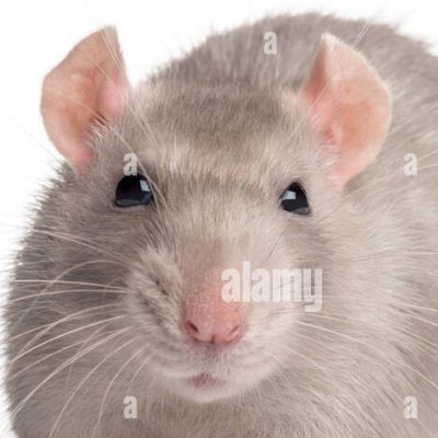 EdStuff_'s profile picture. Suggestive art ahead / I play and draw sometimes, hope you stick around and enjoy whatever I came up with