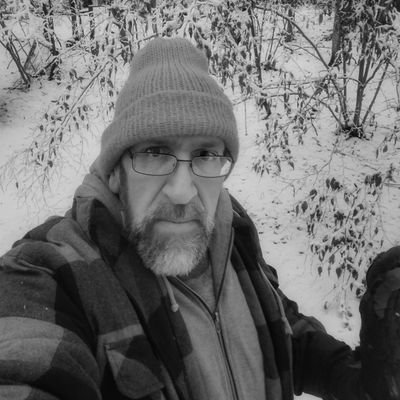 beebuzzgardens's profile picture. A guy who keeps bees, gardens and plays with coding and AI Generation.