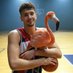 Flamingo Shot (@sengunalpi) Twitter profile photo