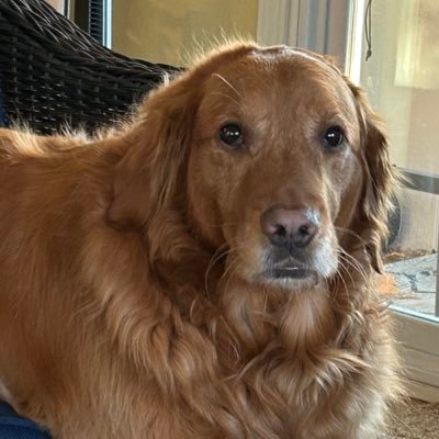 thankfulmom01's profile picture. 