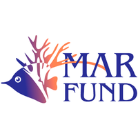 MAR Fund (@mar_fund) 's Twitter Profile Photo MAR Fund (@mar_fund) 's Twitter Profile Photo