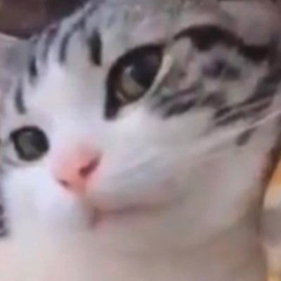 建設現場の管理してます。楽しい事全般大好き!イタズラ好きw、悲しい映画は苦手。 女優は永野芽郁好き!!嘘は嫌い!正直に生きる😠
