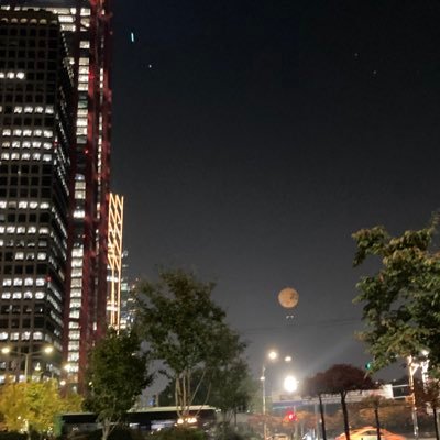 overhaul_holic's profile picture. 덕질 / 투자