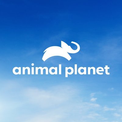 Animal Planet Profile
