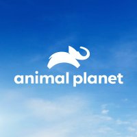 Animal Planet (@animalplanet) 's Twitter Profile