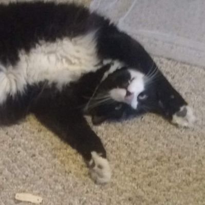 Doxycycline_'s profile picture. He/She or whatever the fuck you want to call me (I have a personal preference for 'wench', it's highly entertaining). I may post like once or twice a year.