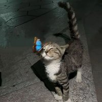 Paradoks (@paradoksol) 's Twitter Profile