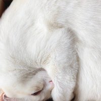 さぶろ〜 (@b09wcotwzwpkgpj) 's Twitter Profile