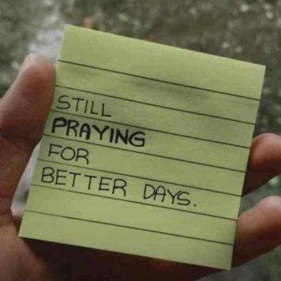 BOgheneken7175's profile picture. 