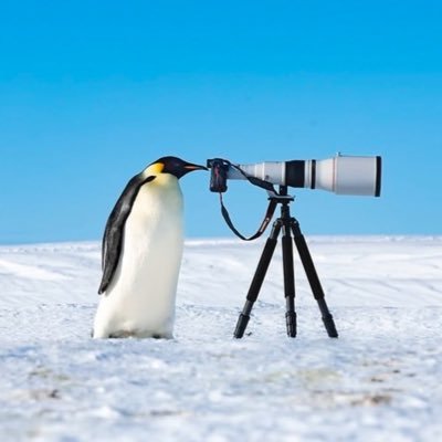 raptor_master75's profile picture. Life isn’t fair. Yeah that’s it