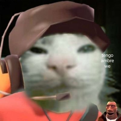 big speedingbullet and boots n bombs fan | I mostly retweet/sometimes nsfw‼️ | 8teen | he/him | free Palestine 🇵🇸