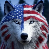 🇺🇸 Maxxis the Wolf 🇺🇸 (@maxxiswolf) 's Twitter Profile