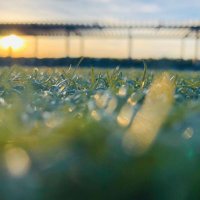 FortuneGround (@fortuneground10) 's Twitter Profile Photo