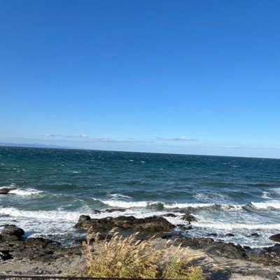 doebiothikku's profile picture. 垢消えたのでここで