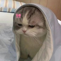 à (@ardaynn) 's Twitter Profile