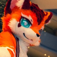 犇犇牛(犇犇) (@benbenniu_) 's Twitter Profile Photo 犇犇牛(犇犇) (@benbenniu_) 's Twitter Profile Photo