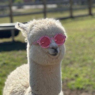 krupelnytska's profile picture. Lifelong learning ambassador