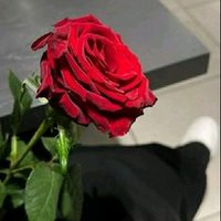 النسيم (@qs7j86z78n70865) 's Twitter Profile Photo النسيم (@qs7j86z78n70865) 's Twitter Profile Photo