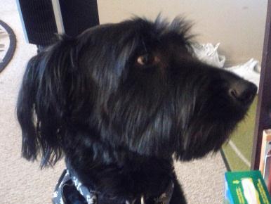 hucksteve's profile picture. Views are entirely my own.