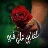 natheer1135439's profile picture. 