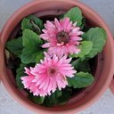 Danielle Niska - @dmniska - Twitter