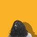 Ibrahim Hassaan (@ibrahimhassaan9) Twitter profile photo Ibrahim Hassaan (@ibrahimhassaan9) Twitter profile photo
